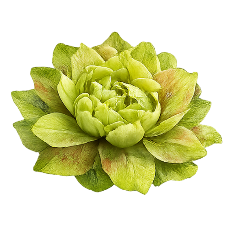 Green Rose icon